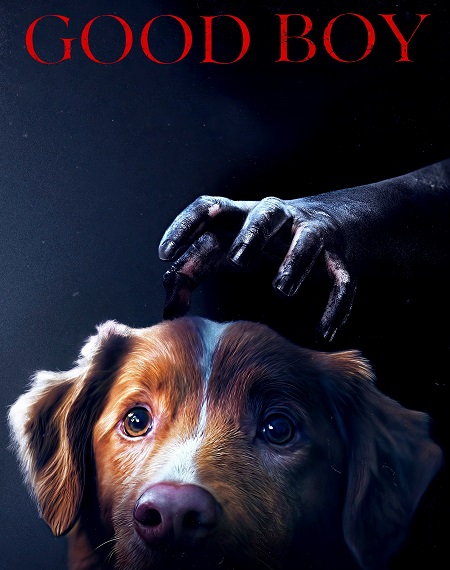 مشاهدة مشاهدة فيلم Good Boy 2025 مترجم